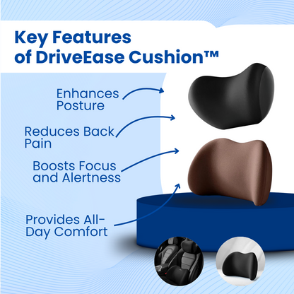 DriveEase Cushion™ Lumbar Pillow